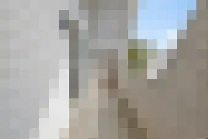 Harrie Driessenstraat 7 Horst thumbnail 38
