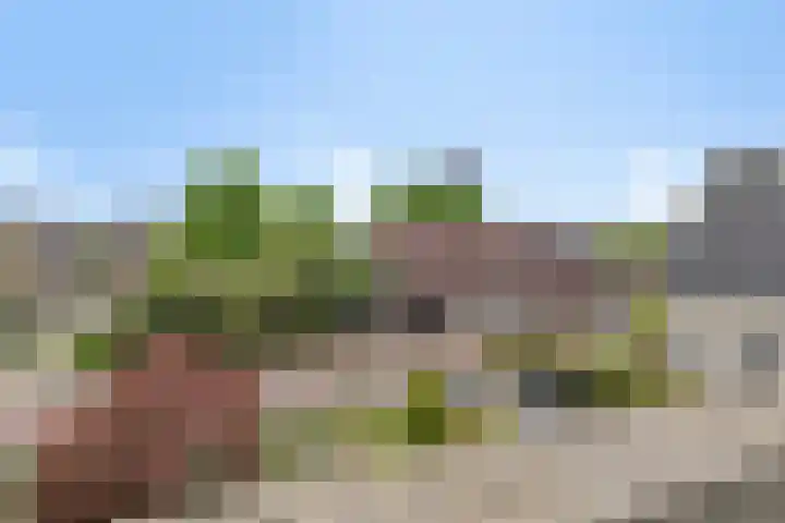 Harrie Driessenstraat 7 Horst thumbnail 39