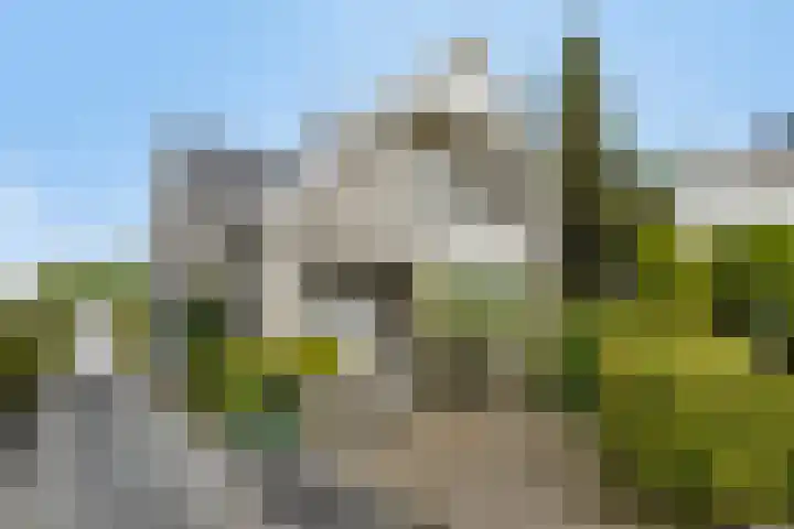 Harrie Driessenstraat 7 Horst thumbnail 4