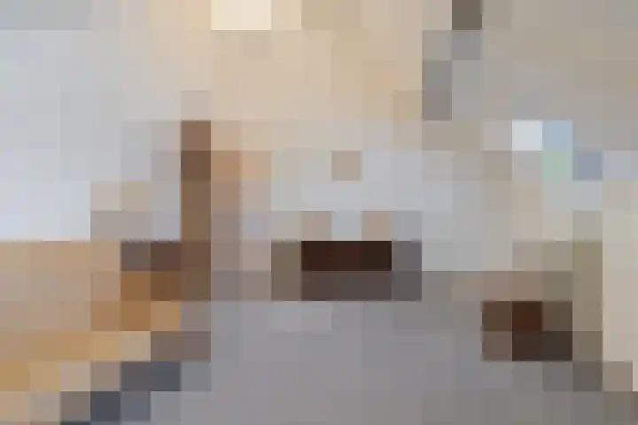 Harrie Driessenstraat 7 Horst thumbnail 42