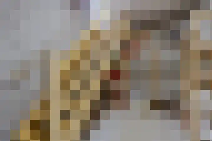 Harrie Driessenstraat 7 Horst thumbnail 45