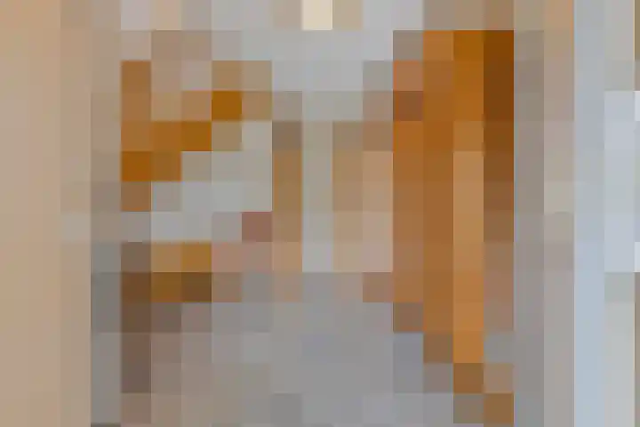 Harrie Driessenstraat 7 Horst thumbnail 5