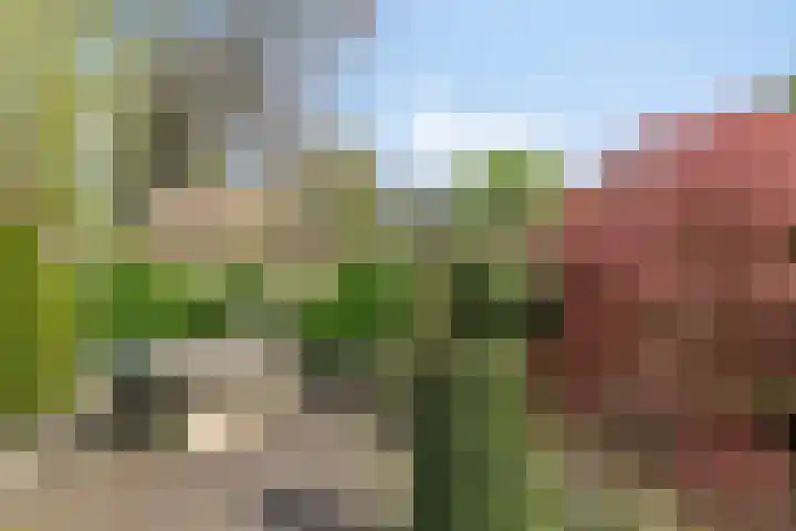 Harrie Driessenstraat 7 Horst thumbnail 55