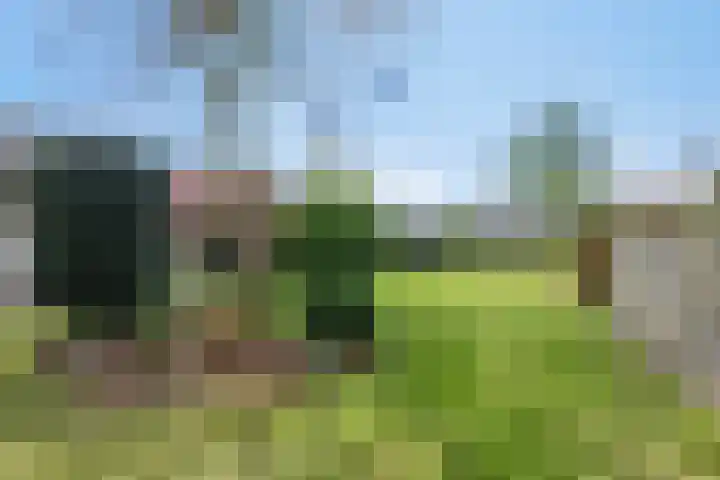 Harrie Driessenstraat 7 Horst thumbnail 64