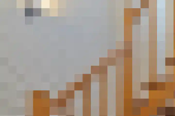 Harrie Driessenstraat 7 Horst thumbnail 8