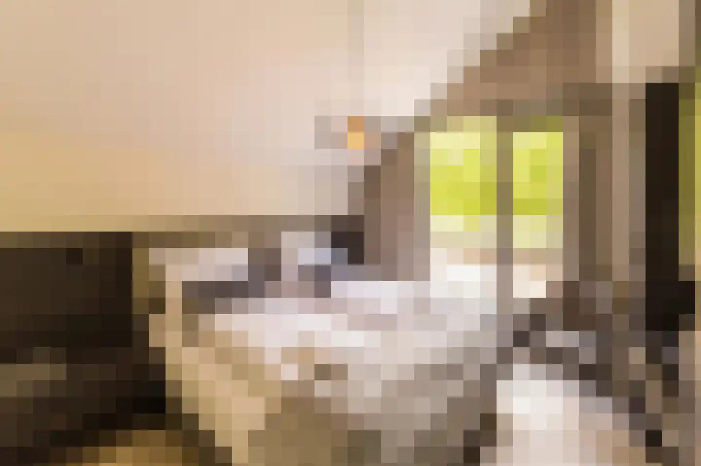 Harrie Meijersbaan 2 Maastricht thumbnail 14