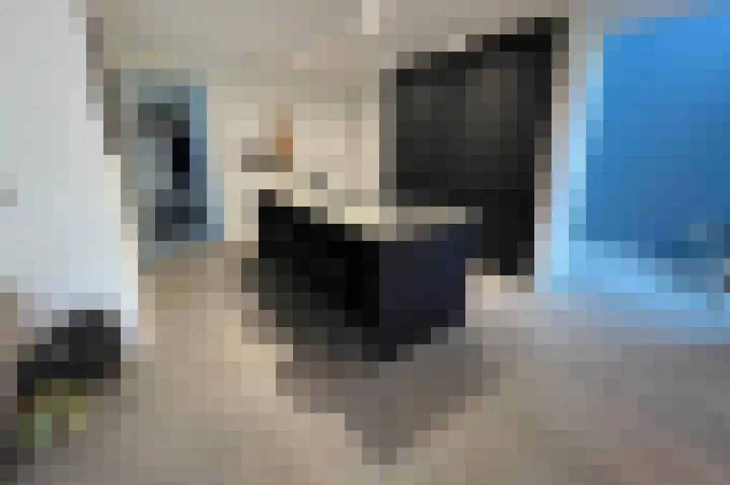 Harrie Meijersbaan 23 Maastricht thumbnail 8