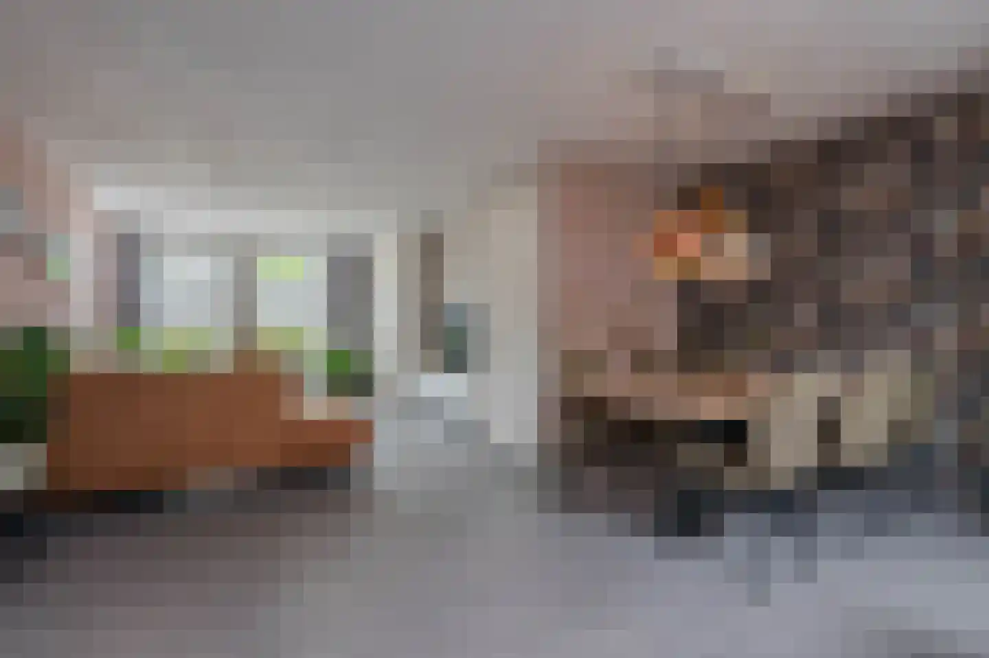 Harrie Philipsenstraat 9 Ysselsteyn thumbnail 10
