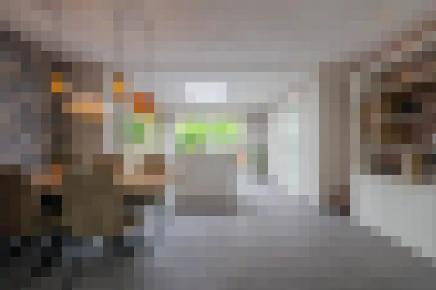 Harrie Philipsenstraat 9 Ysselsteyn thumbnail 11
