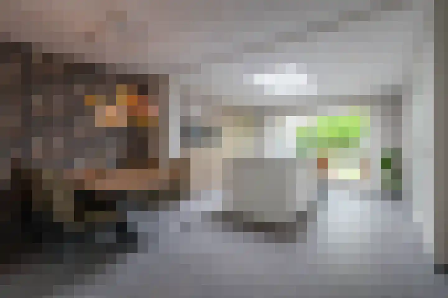 Harrie Philipsenstraat 9 Ysselsteyn thumbnail 12