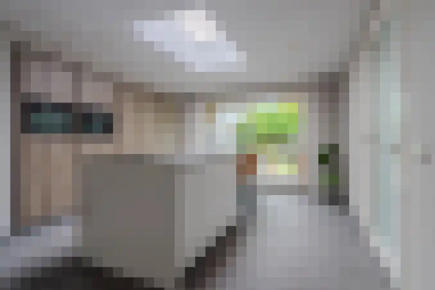 Harrie Philipsenstraat 9 Ysselsteyn thumbnail 14