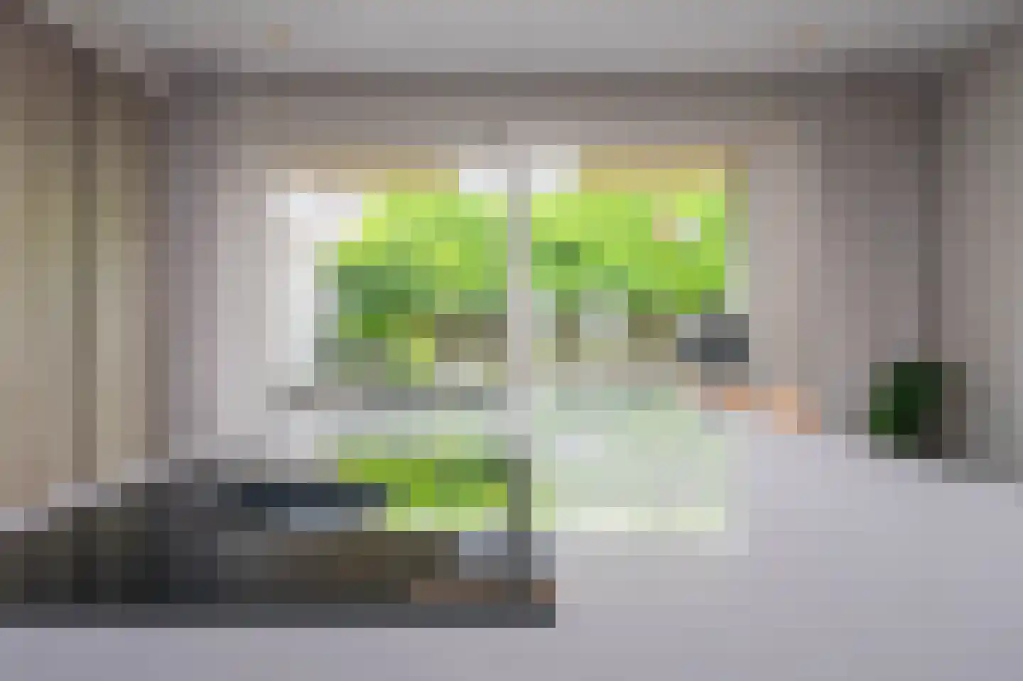 Harrie Philipsenstraat 9 Ysselsteyn thumbnail 16