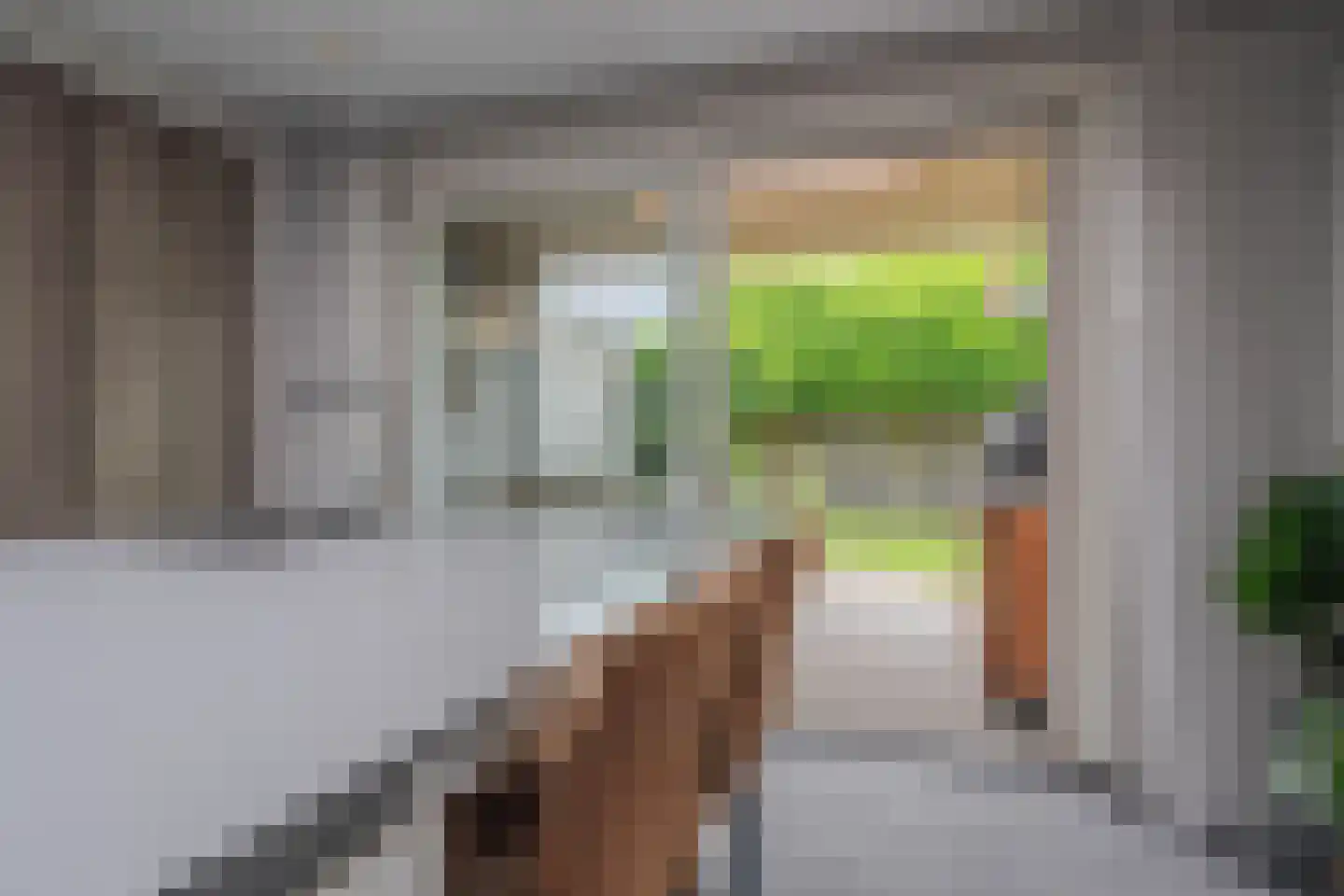 Harrie Philipsenstraat 9 Ysselsteyn thumbnail 17