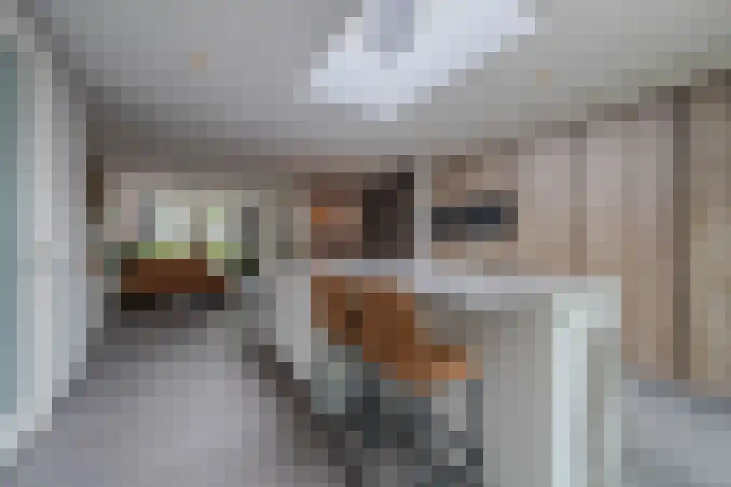 Harrie Philipsenstraat 9 Ysselsteyn thumbnail 22
