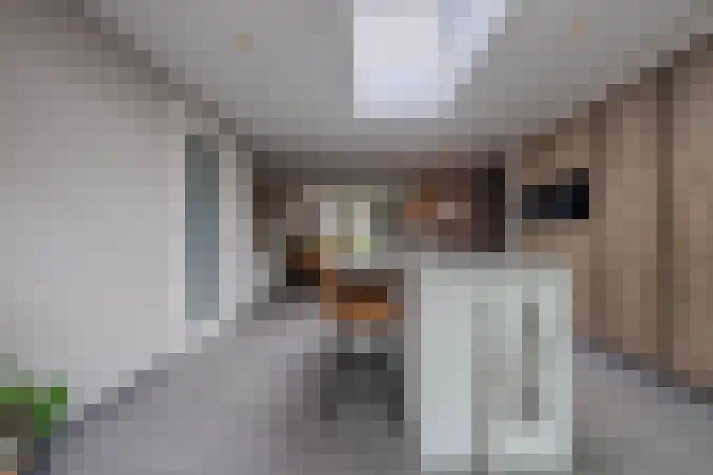 Harrie Philipsenstraat 9 Ysselsteyn thumbnail 24