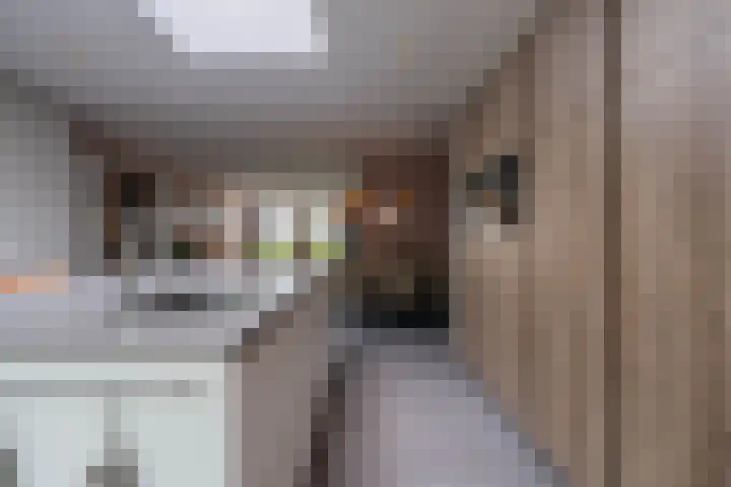 Harrie Philipsenstraat 9 Ysselsteyn thumbnail 25