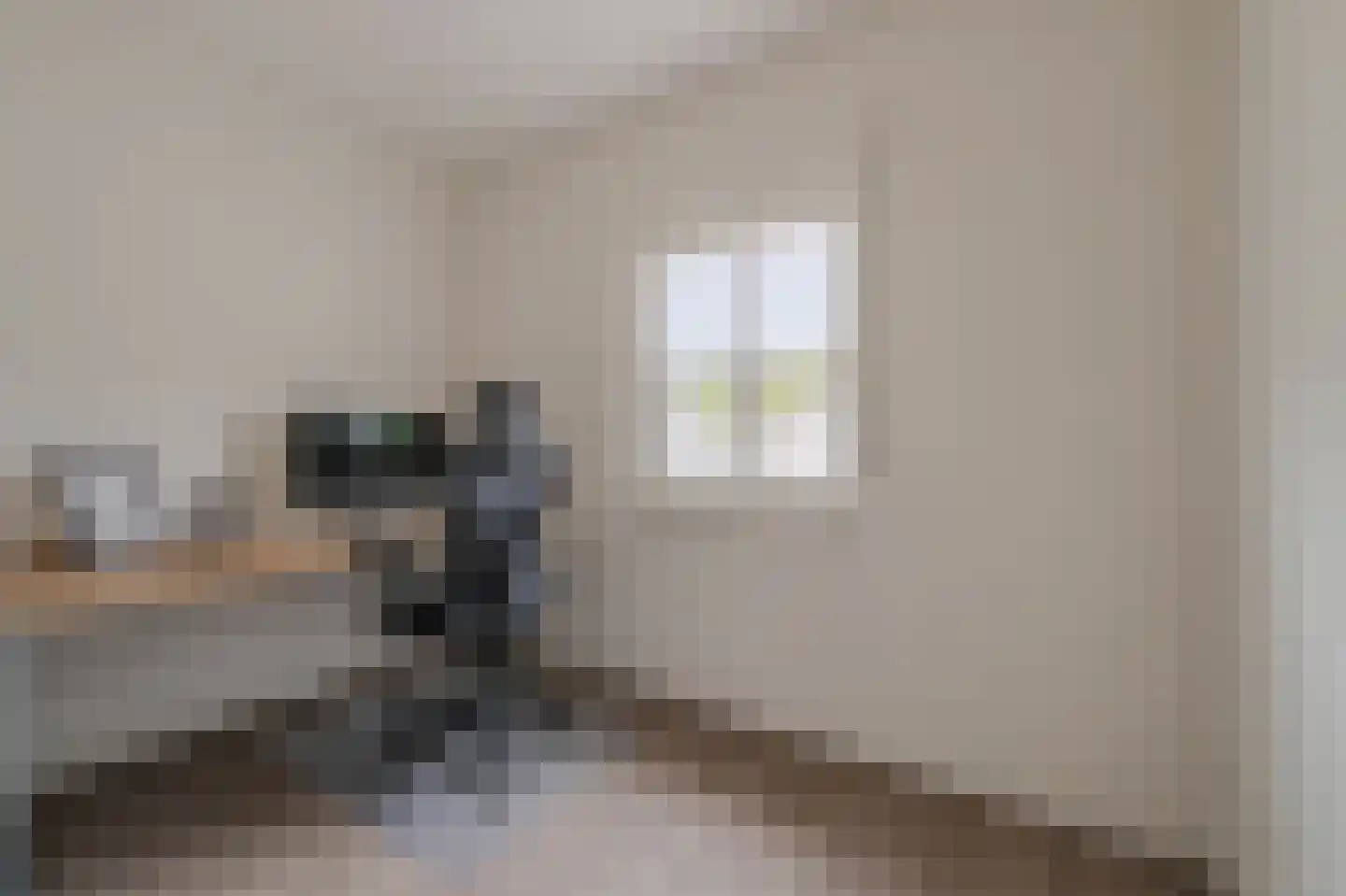 Harrie Philipsenstraat 9 Ysselsteyn thumbnail 37
