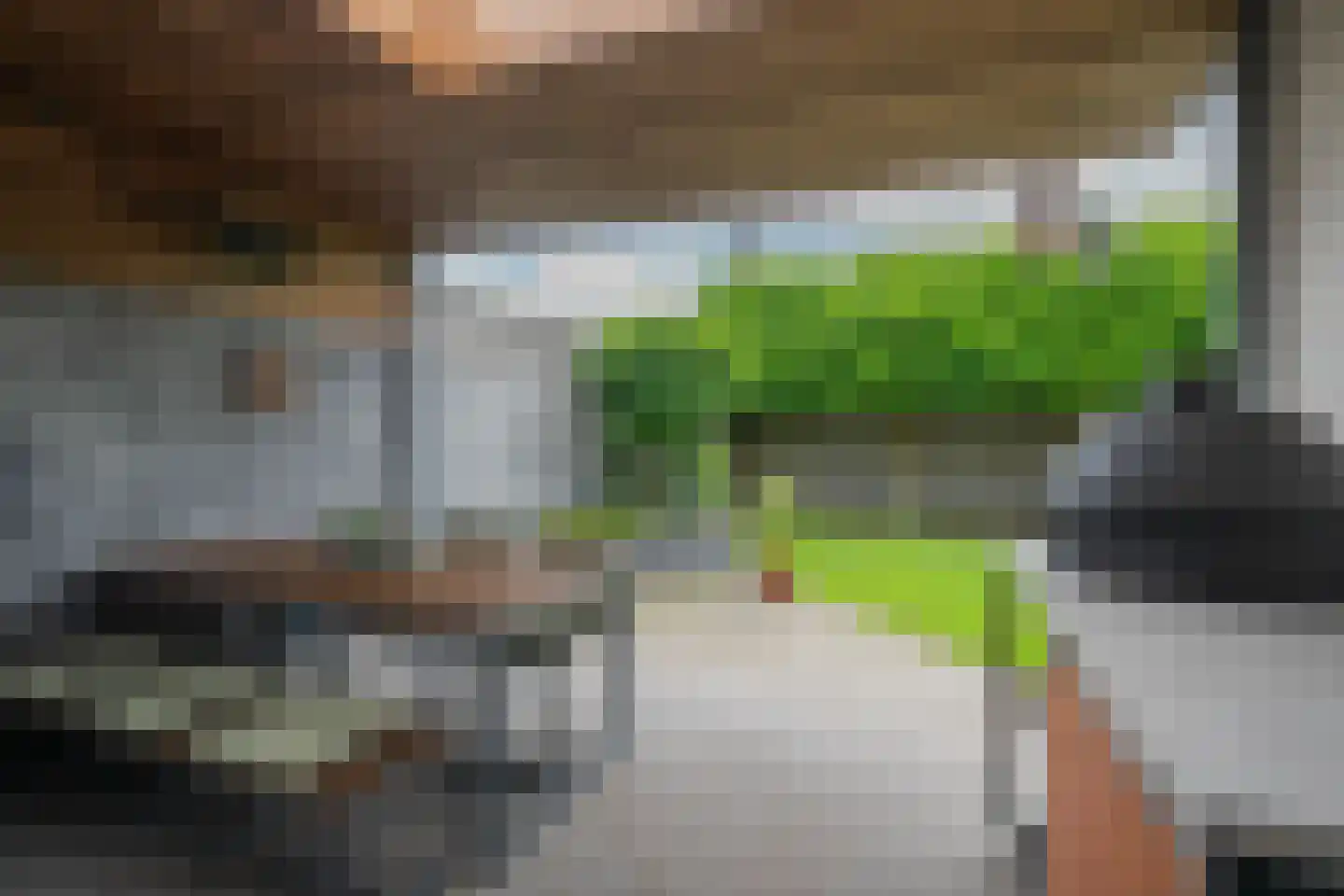 Harrie Philipsenstraat 9 Ysselsteyn thumbnail 43