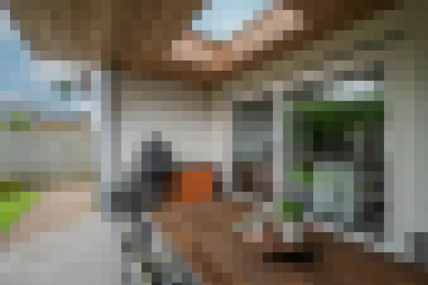 Harrie Philipsenstraat 9 Ysselsteyn thumbnail 45