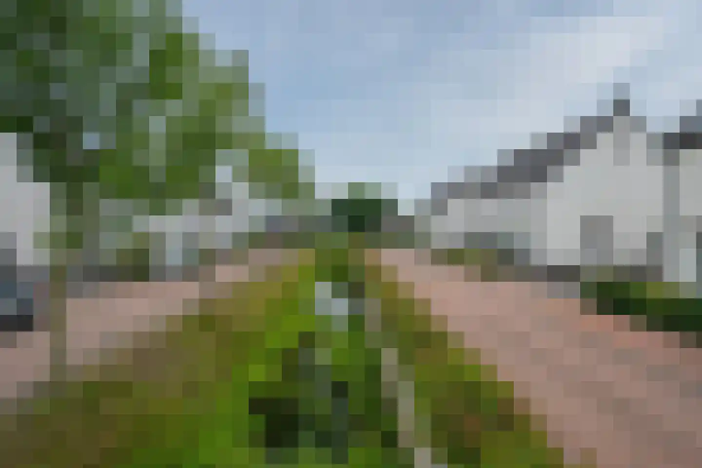 Harrie Philipsenstraat 9 Ysselsteyn thumbnail 57