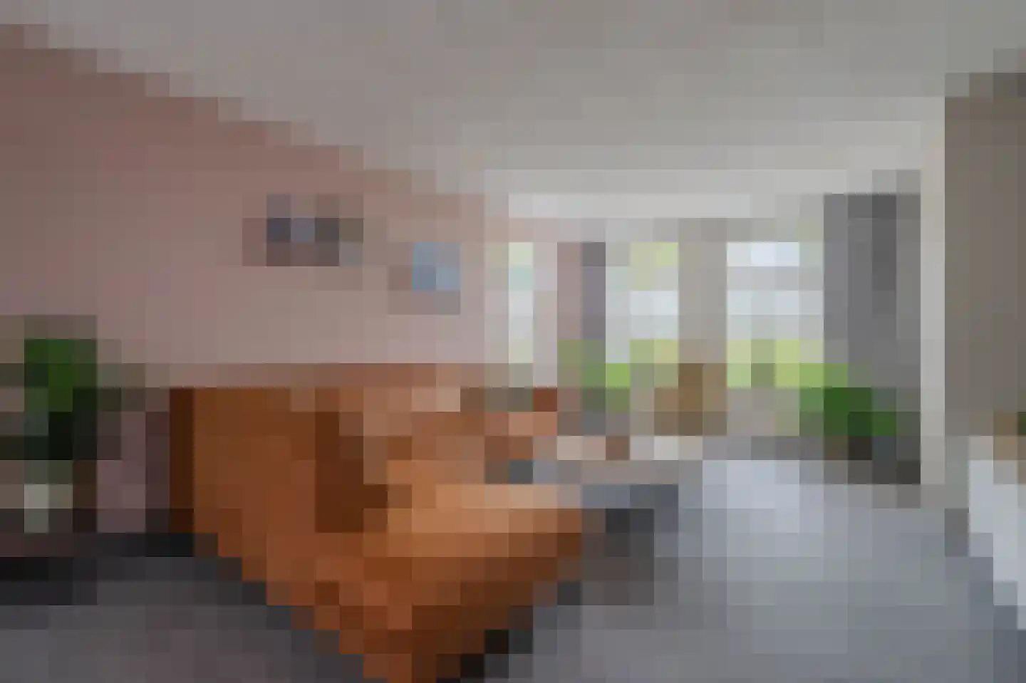 Harrie Philipsenstraat 9 Ysselsteyn thumbnail 7