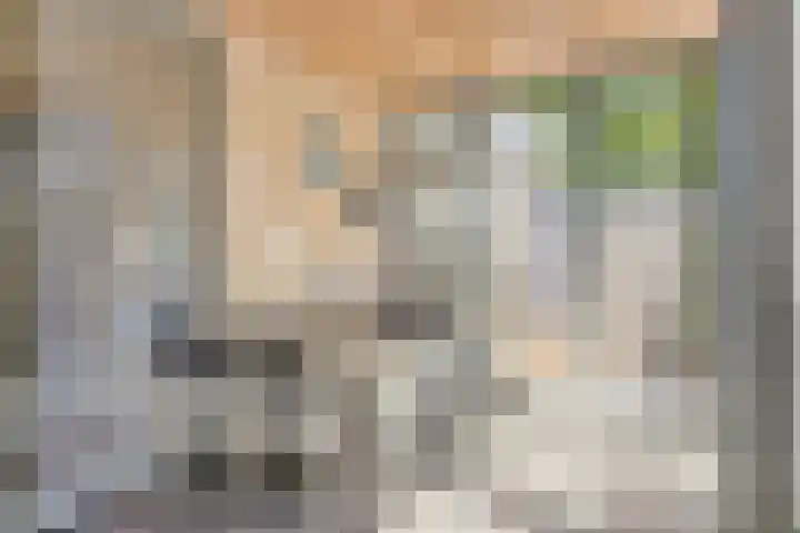 Harrie Schoutenstraat 6 Geffen thumbnail 14