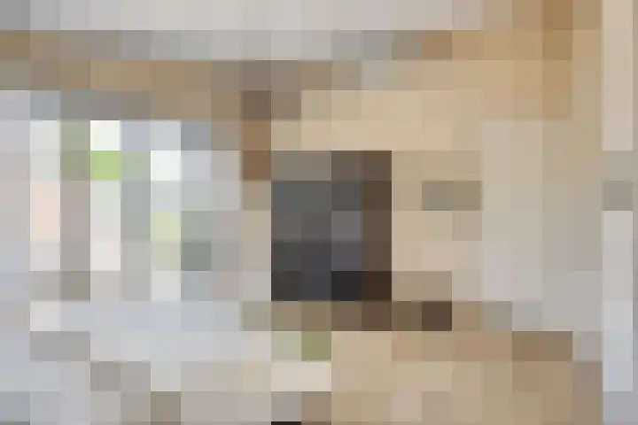 Harrie Schoutenstraat 6 Geffen thumbnail 19