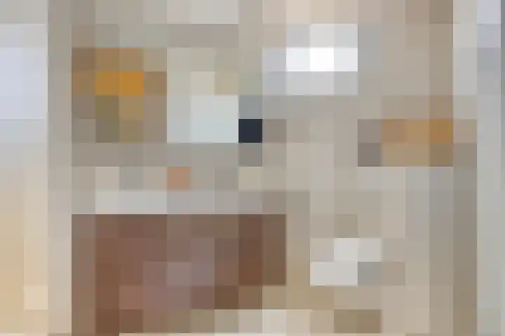 Harrie Schoutenstraat 6 Geffen thumbnail 23