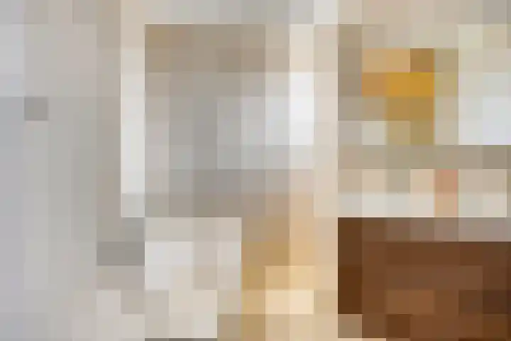 Harrie Schoutenstraat 6 Geffen thumbnail 24
