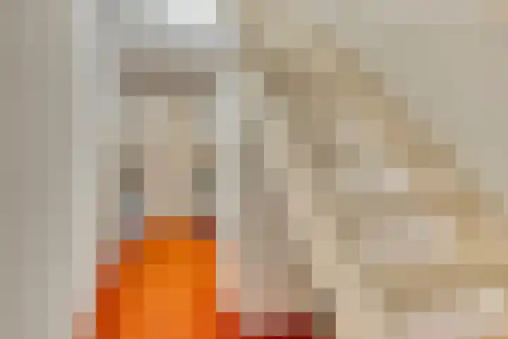 Harrie Schoutenstraat 6 Geffen thumbnail 34
