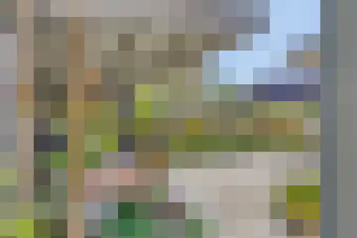 Harrie Schoutenstraat 6 Geffen thumbnail 45