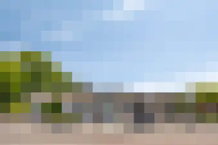 Harrie Schoutenstraat 6 Geffen thumbnail 46