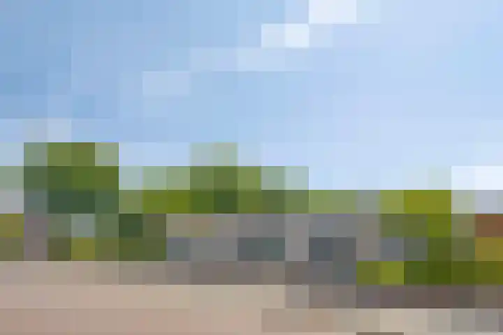 Harrie Schoutenstraat 6 Geffen thumbnail 47
