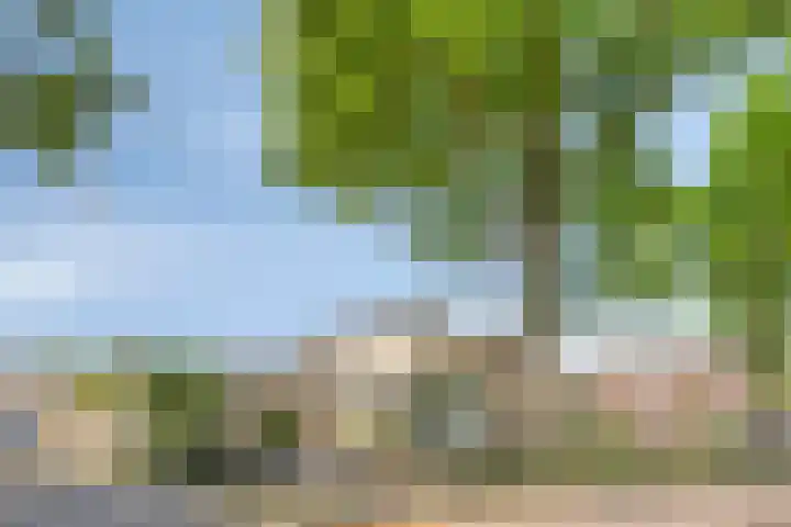 Harrie Schoutenstraat 6 Geffen thumbnail 48