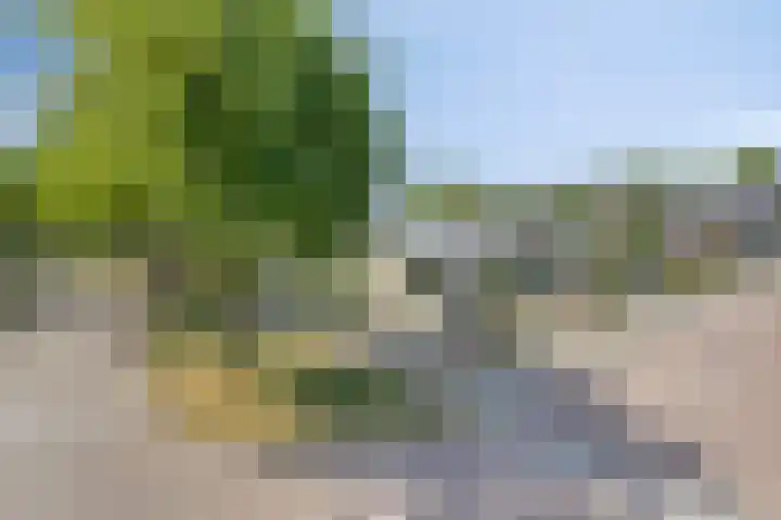 Harrie Schoutenstraat 6 Geffen thumbnail 49