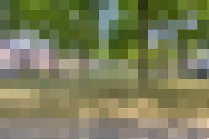 Harrie Schoutenstraat 6 Geffen thumbnail 51