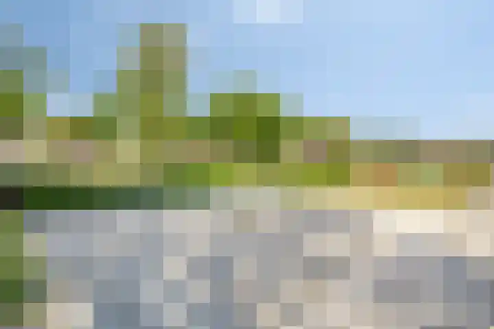 Harrie Schoutenstraat 6 Geffen thumbnail 52