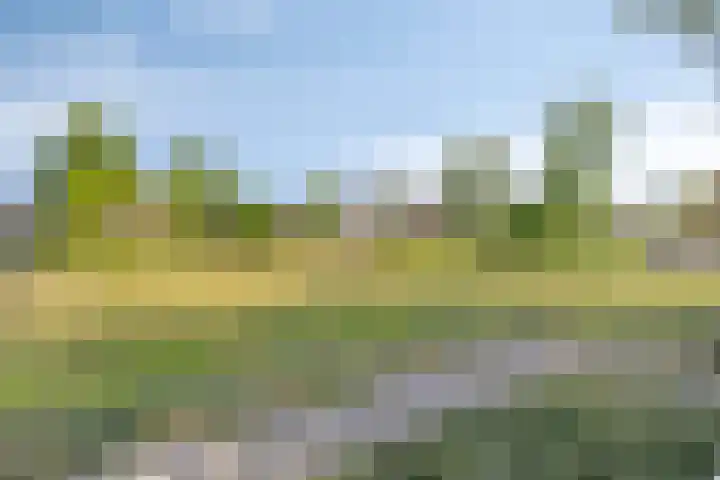 Harrie Schoutenstraat 6 Geffen thumbnail 53