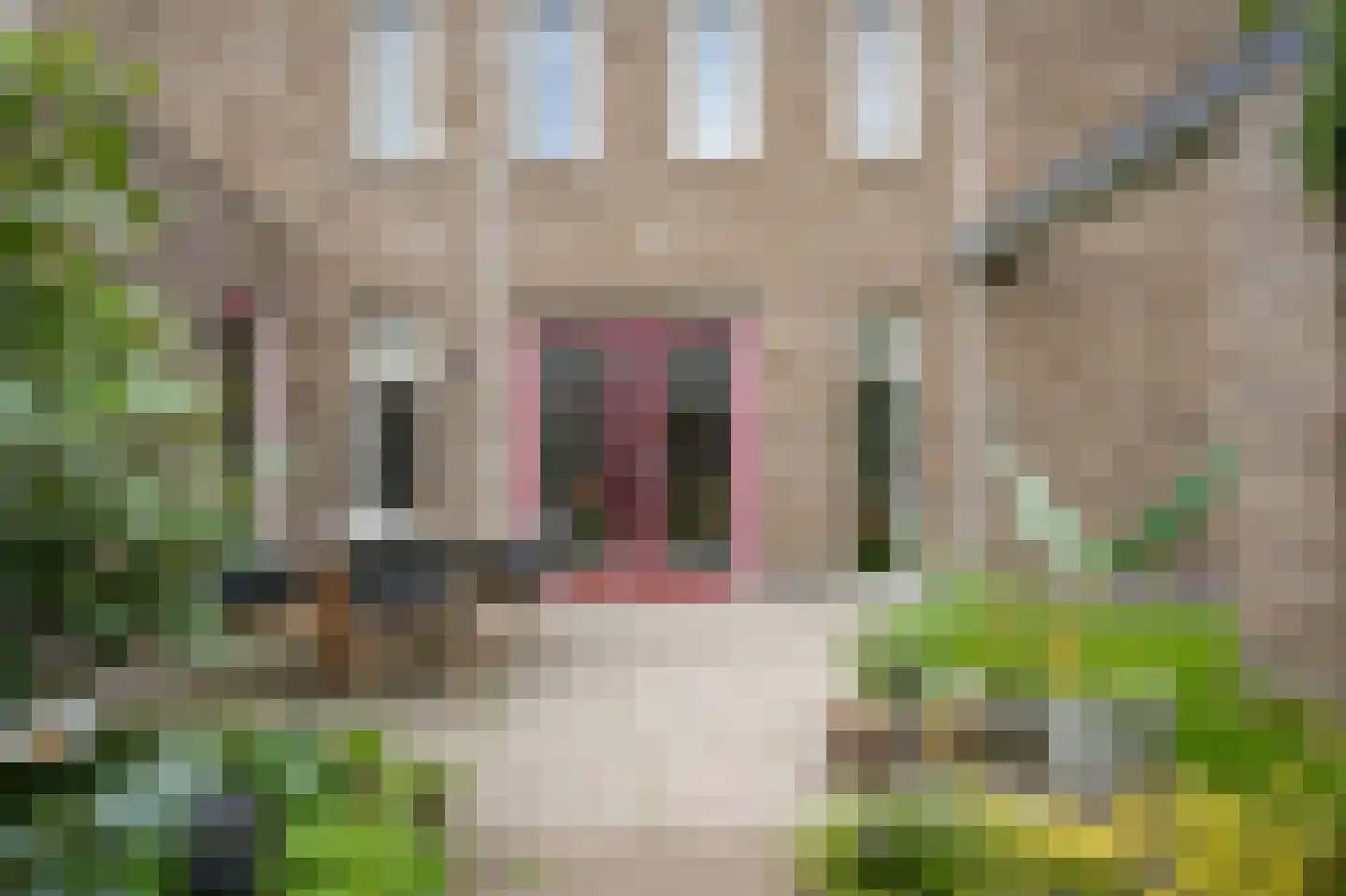 Harrie van de Laakstraat 1 Zaltbommel thumbnail 43