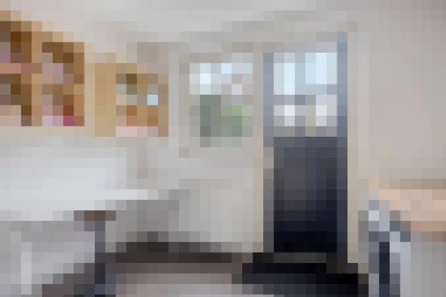 Harrie van de Laakstraat 14 Zaltbommel thumbnail 18