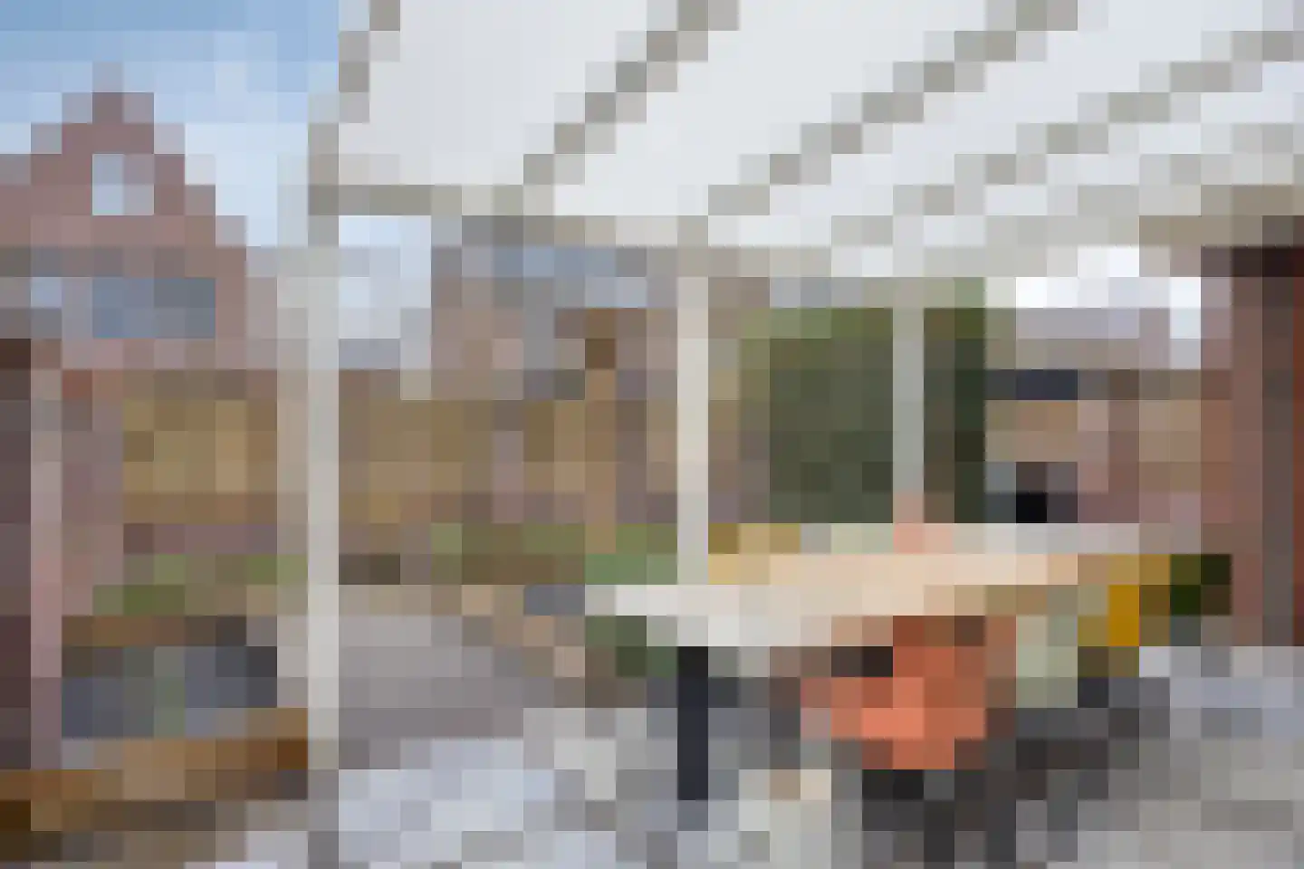 Harrie van de Laakstraat 14 Zaltbommel thumbnail 39
