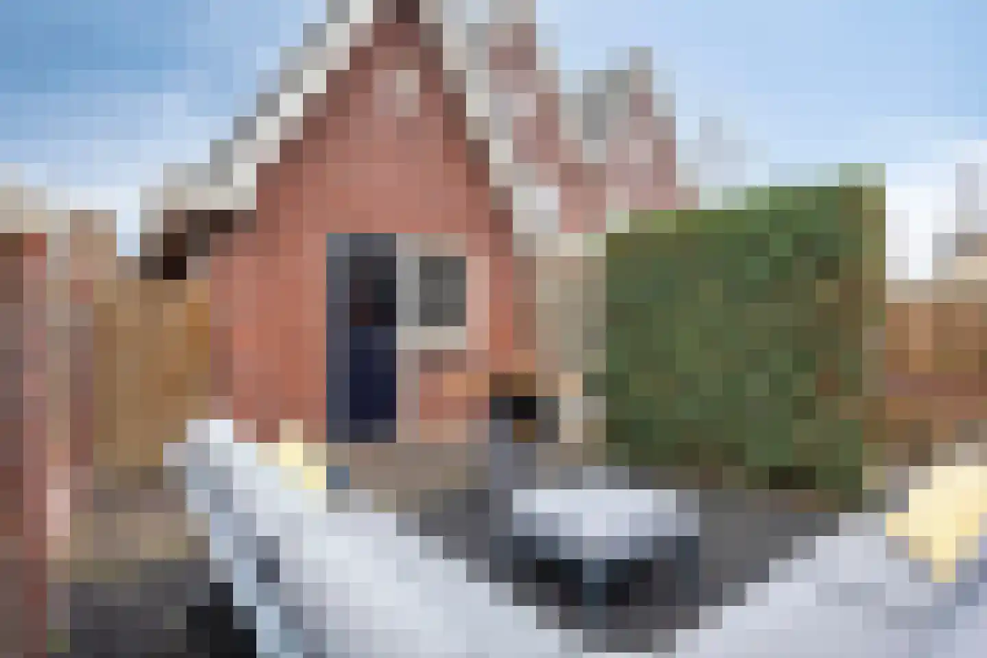 Harrie van de Laakstraat 14 Zaltbommel thumbnail 41