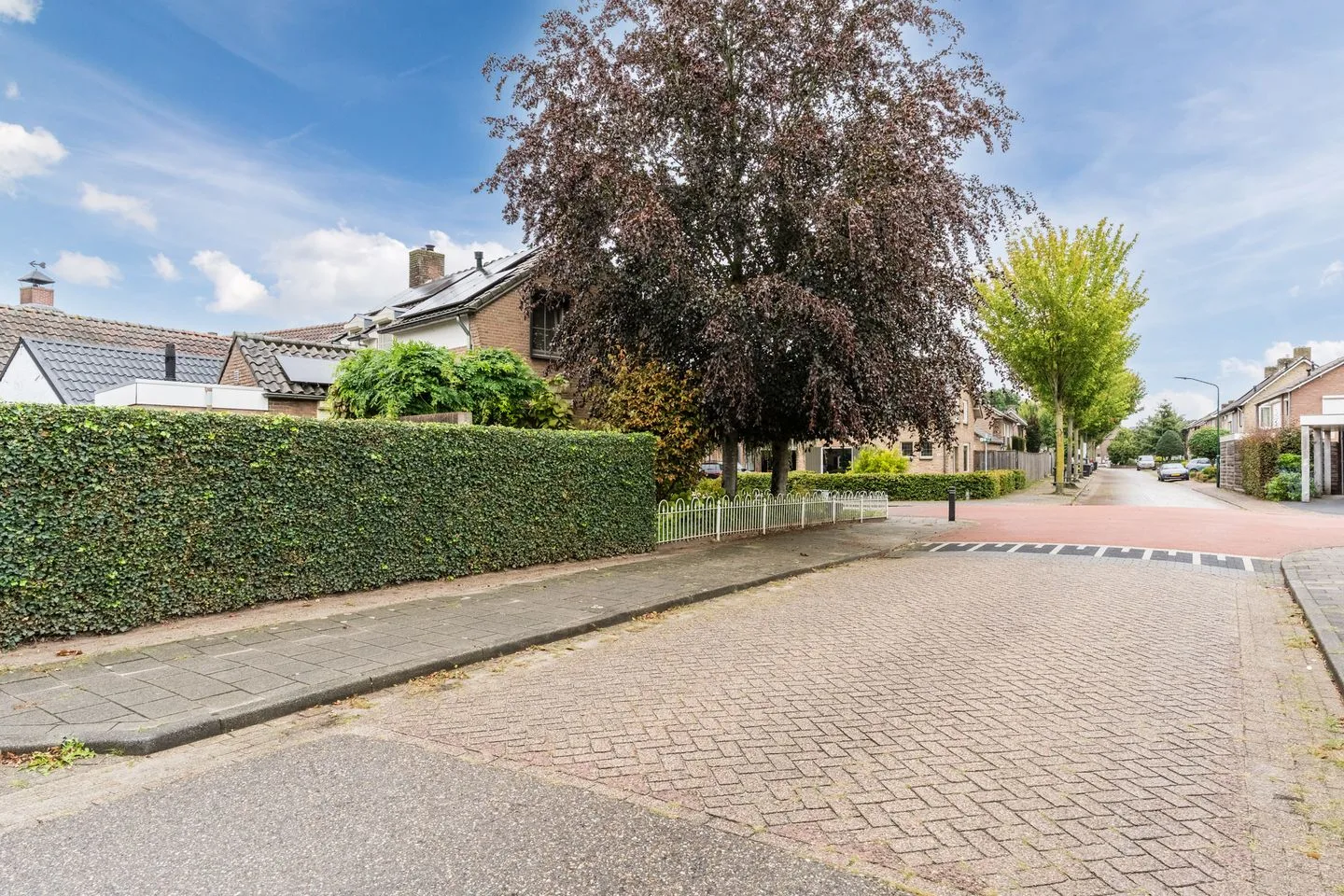 Harrie van de Venstraat 16 Nistelrode thumbnail 54