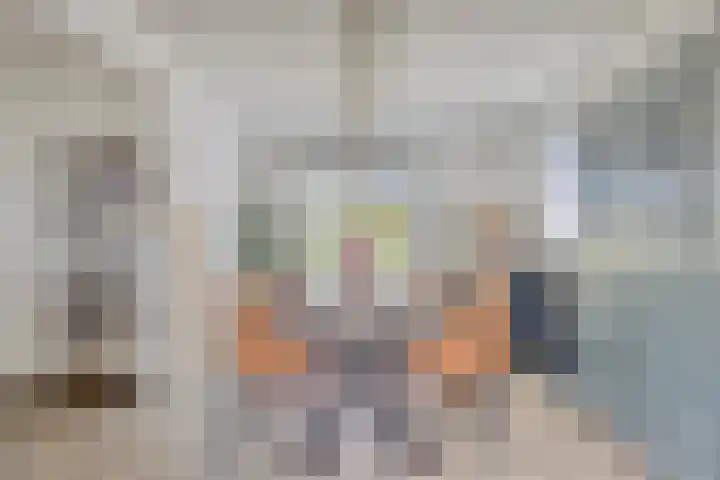 Harrie van de Venstraat 17 Nistelrode thumbnail 10