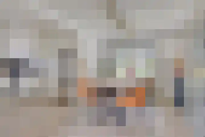 Harrie van de Venstraat 17 Nistelrode thumbnail 11