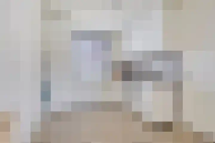 Harrie van de Venstraat 17 Nistelrode thumbnail 12