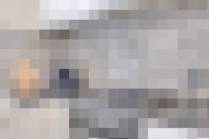 Harrie van de Venstraat 17 Nistelrode thumbnail 13