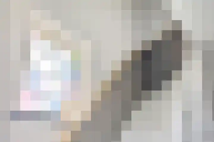 Harrie van de Venstraat 17 Nistelrode thumbnail 16