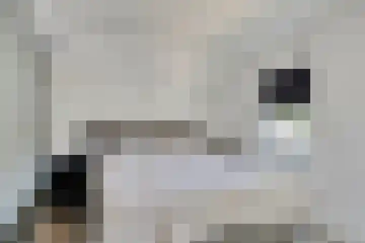 Harrie van de Venstraat 17 Nistelrode thumbnail 18
