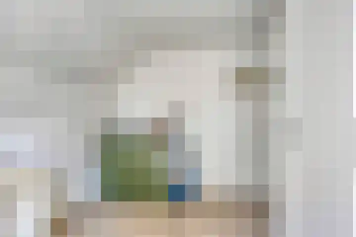 Harrie van de Venstraat 17 Nistelrode thumbnail 21